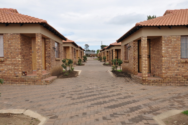 NIkon D90 November 010 (Copy)